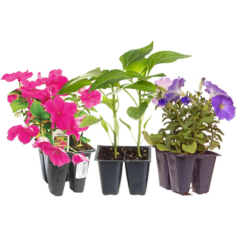 4 Pk. Vegetables & Annuals