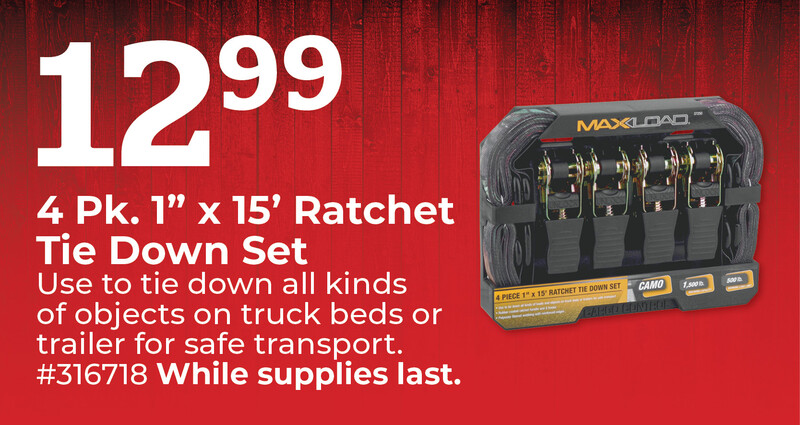 4 Pk. 1" x 15' Ratchet Tie Down Set 